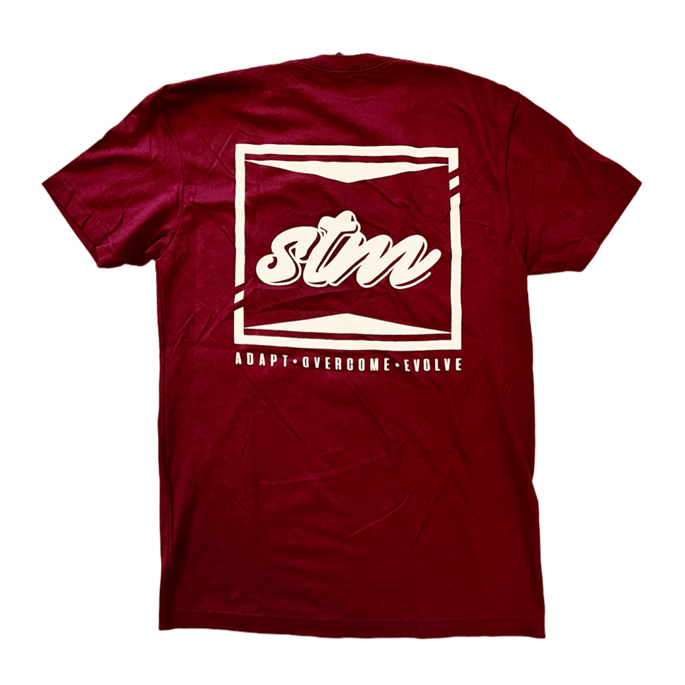 Evol Maroon Tee