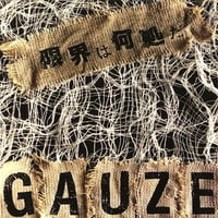 Image 1 of GAUZE - "限界は何処だ (Genkai Wa Doko Da)" LP (Red Vinyl) 