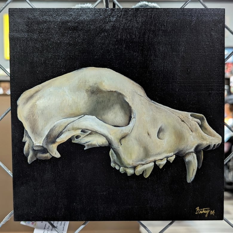 Image of "Coyote Skull" by Britney M. Clark