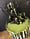 Image of Death Cake
