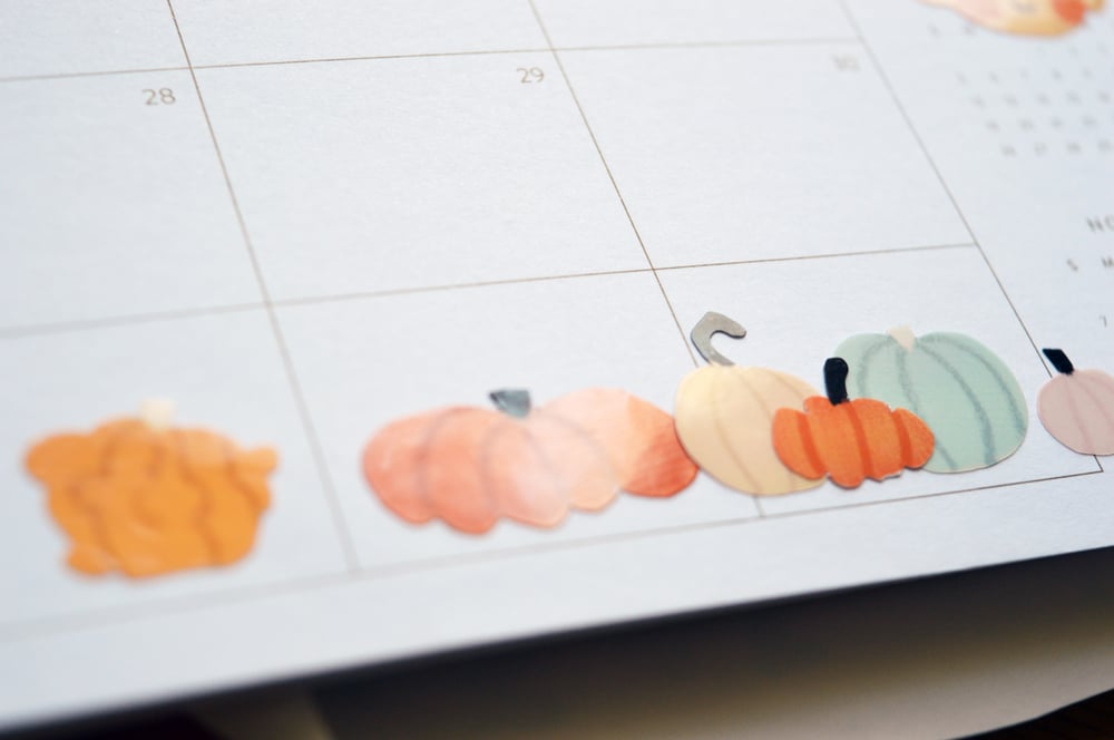 Image of Fairytale Pumpkin Sticker Sheet