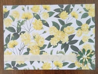 Image 4 of Yellow Flowers