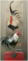 Rooster Booster(Study)