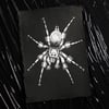 Trapdoor Spider A5 Original Painting