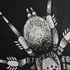 Trapdoor Spider A5 Original Painting Image 3