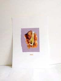 Image 2 of Mycose