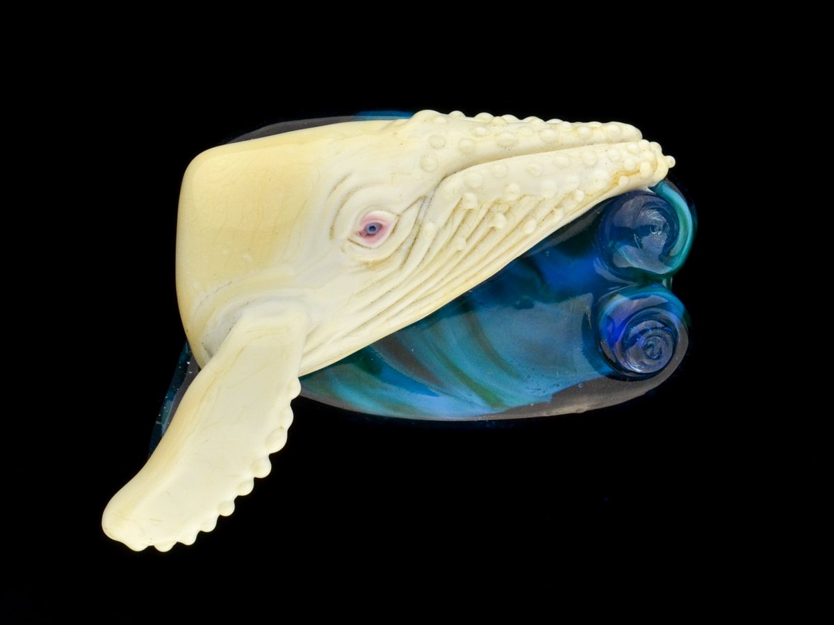 Image of XXXL. Migaloo - Albino Humpback Whale - Flamework Glass Sculpture