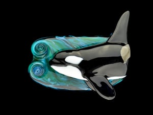 Image of XXXXL.  Male Killer Whale - Flamework Glass Sculpture