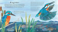 Image 2 of National Trust: Birds of a Feather: Press out and learn about 10 beautiful birds