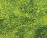 Image 2 of The Countryside -- #2320 -- 6'x4' plus