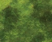Image 3 of The Countryside -- #2320 -- 6'x4' plus