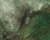 Image 2 of Alien Pools -- #2330 -- 6'x4' plus