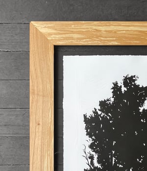 Alder Grove Framed in Salvaged Alder