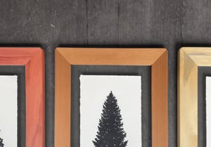 Tree Trio Framed in Salvaged Cedar, Ponderosa & Redwood