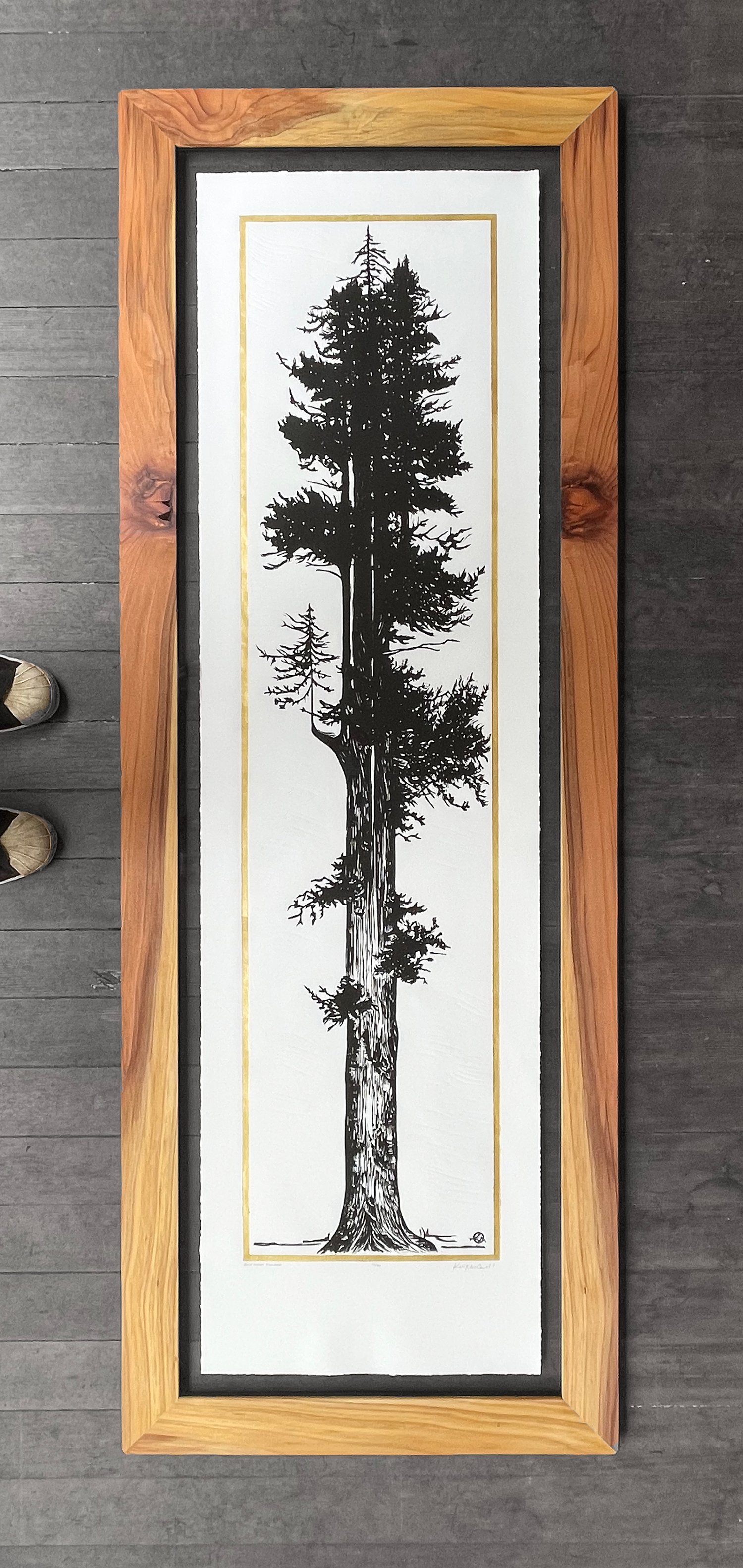 Gold Giant Redwood Reforestation Edition Framed in Salvaged Sempervirens