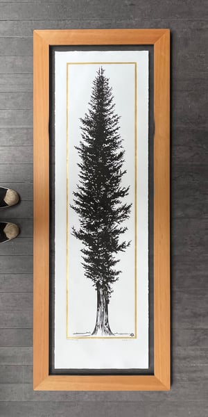 Gold Western Cedar Reforestation Edition Framed in Salvaged Western Cedar