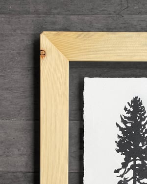 Lodgepole Framed in Salvaged Lumber