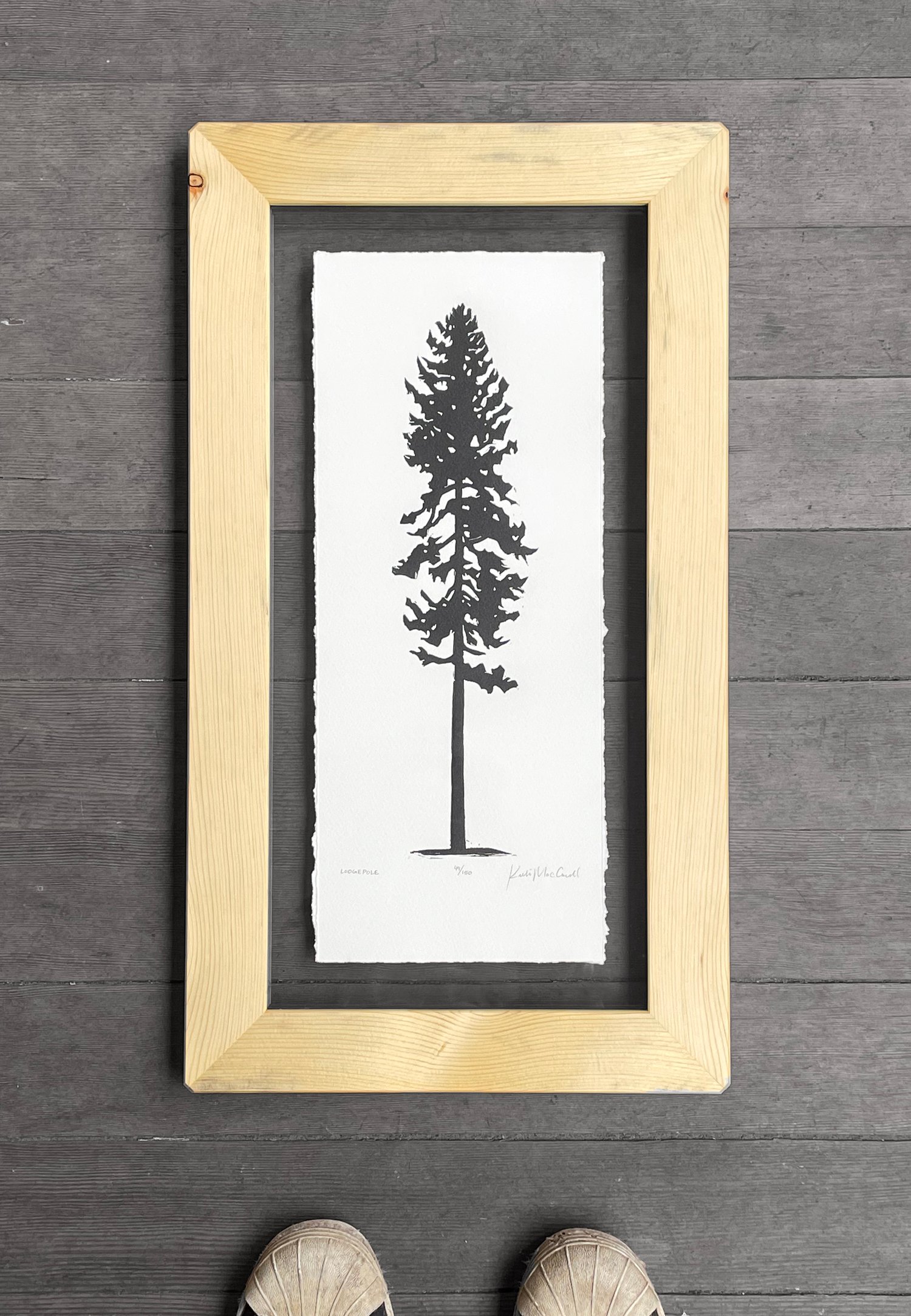 Lodgepole Framed in Salvaged Lumber