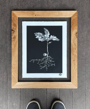 Quercus Framed in Salvaged Oregon White Oak