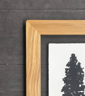 Redwood Framed in Salvaged Redwood