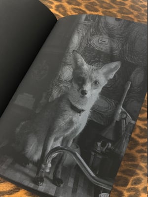 Foxy Lady - David Arnoff (photozine)