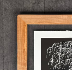 Roots Framed in Salvaged Maple