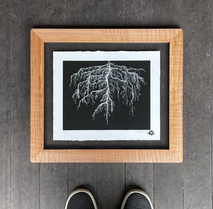 Roots Framed in Salvaged Maple