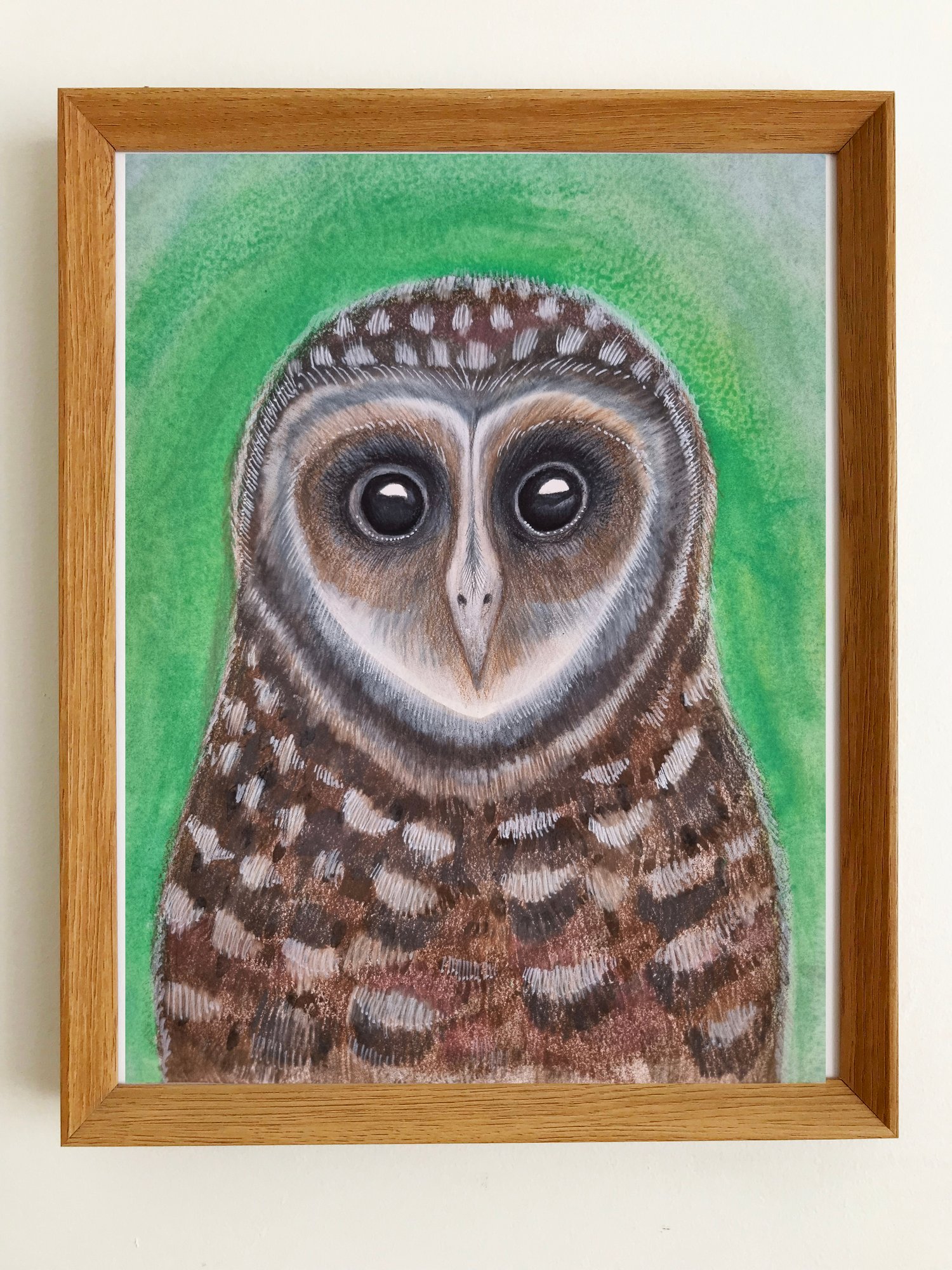 Image of Owl Eyes