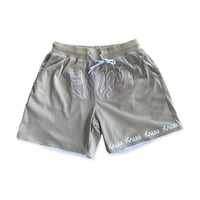 Image 1 of ENVY Team Shorts 2.0