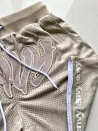 Image 2 of ENVY Team Shorts 2.0