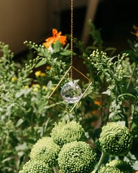 Image 5 of Atrapaluces Celeste