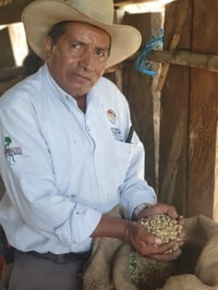 Image 5 of MEXIQUE | Chiapas