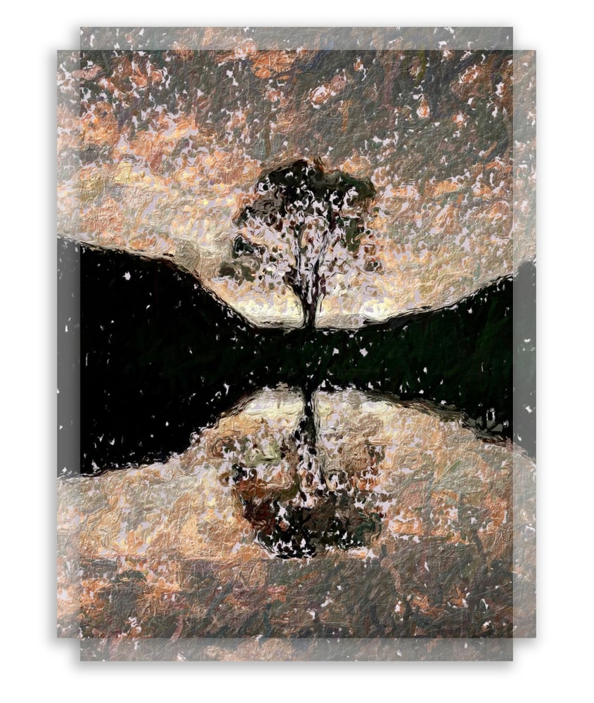Image of Sycamore Gap Tree no 14 from 100 series large print on canvas 