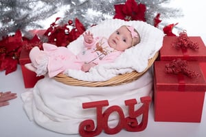 Image of Holiday Session 11/12 - 2:30 Sunday