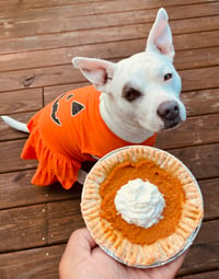 Pumpkin Spice Pie