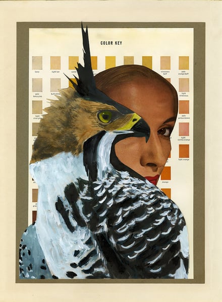 Image of When Women Were Birds.  original collage
