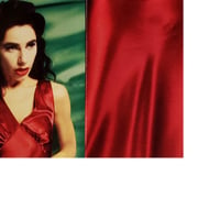 Image 5 of PJ Harvey - To Bring You My Love