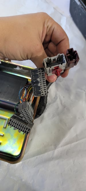 Image of Honda 93-95 0BD1 main chassis harness 
