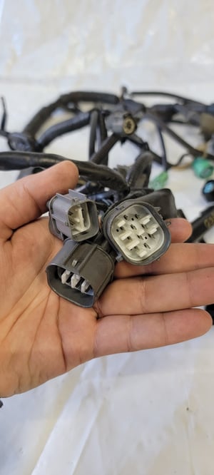 Image of Honda 0BD2 97-01 GSR engine harness