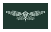 cicada print