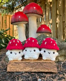 Image 2 of Mushroom Crochet Plushies