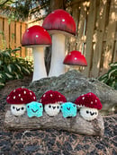 Image 1 of Mushroom Crochet Plushies