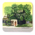 A Set of Six Beautiful Bus Shelter Coasters Image 4