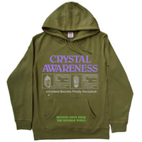 Image 1 of Crystal Awareness hoodie