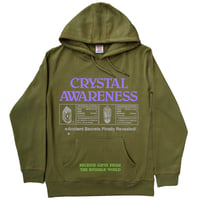 Image 1 of Crystal Awareness hoodie 