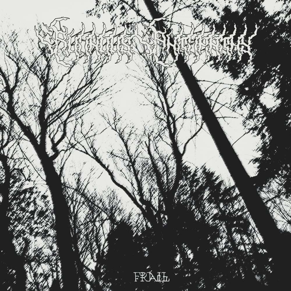 Ruinous Antipathy "Frail" CD
