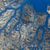 Differential Growth (60x60cm)