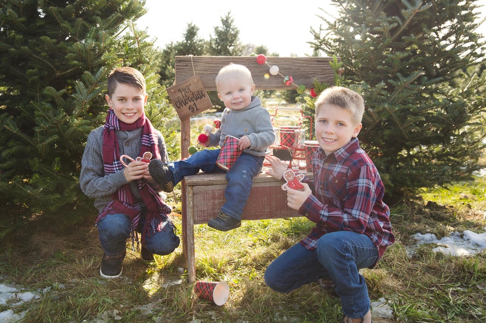 Image of Christmas Tree Farm Minis