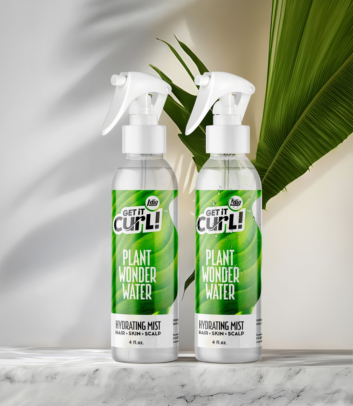 Image of Get it Curl  Plant  Wonder Water