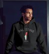 Palestine Map Unisex Hoodie- 100% profits to charity